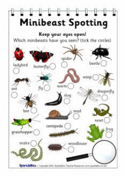 MINIBEAST SPOTTING FORM: Great printable sheet with a good selection ...
