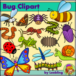 Bug clipart - Insect and Minibeast Clipart, Color and BW