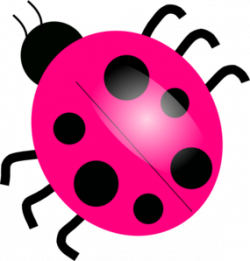 Pink And Green Ladybug | Clipart Panda - Free Clipart Images