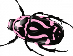 Beetle-pink Clip Art at Clker.com - vector clip art online, royalty ...