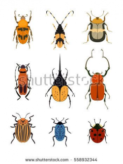 Bug icon set isolated on white background vector illustration ...