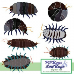 Roly Poly / Pill Bug and Sow Bug Clip Art Set | Clip art, Insect ...