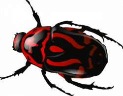 Srd Green Beetle 2 Clip Art at Clker.com - vector clip art online ...