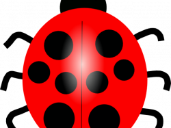 HD Lady Beetle Clipart Red Animal - Blue Ladybug Clipart ...