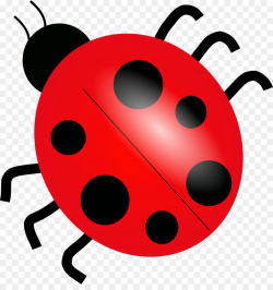 Ladybird Drawing Clip art - Red Beetle Cartoon png download - 1331 ...