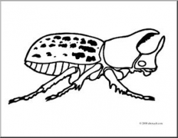 Clip Art: Insects: Rhinoceros Beetle (coloring page) I abcteach.com ...