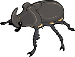 Search Results for beetles - Clip Art - Pictures - Graphics ...