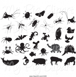 Swine Clipart of Black Bug and Animal Silhouettes on WhiteBlack Bug ...