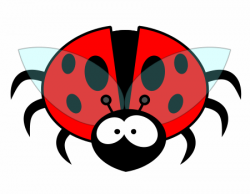 Drawing cartoon insects | Large eyes, Cartoon and Insects