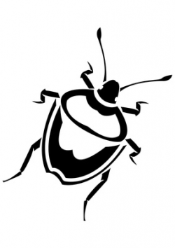 Beetle Black And White Clipart - Clip Art Library