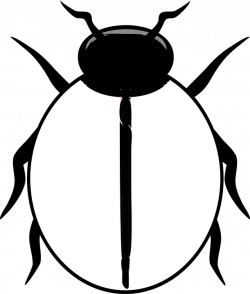 Black And White Ladybug Clipart | Free download best Black And White ...