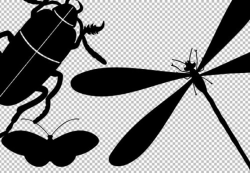 Bugs clipart, bugs SVG, bugs silhouettes, cuttable spider ...