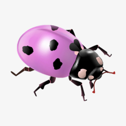 Spotted Beetle, Spot, Purple, Beetle PNG Image and Clipart for Free ...