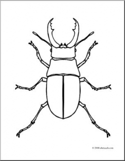 Clip Art: Insects: Stag Beetle (coloring page) I abcteach.com | abcteach