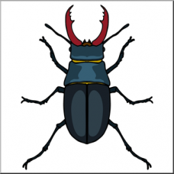 Clip Art: Insects: Stag Beetle Color I abcteach.com | abcteach