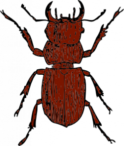 Stag Beetle Clip Art at Clker.com - vector clip art online, royalty ...