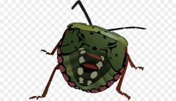 Beetle Brown marmorated stink bug Clip art - Stink Cliparts png ...