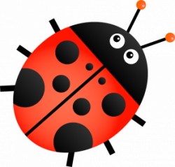 Ladybug PNG Images Transparent Free Download | PNGMart.com