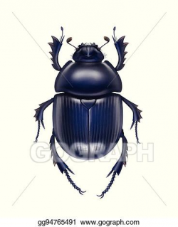 Vector Art - Scarabaeus sacer beetle. Clipart Drawing gg94765491 ...