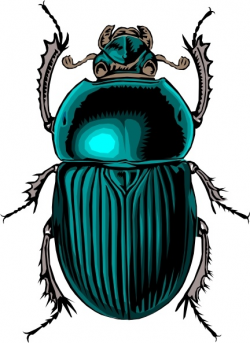 Beetle Bug clip art Free vector in Open office drawing svg ( .svg ...