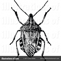 Beetle Clipart #1113194 - Illustration by Prawny Vintage