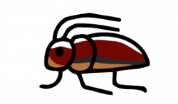 Image - Water Beetle.png | Scribblenauts Wiki | FANDOM powered by Wikia