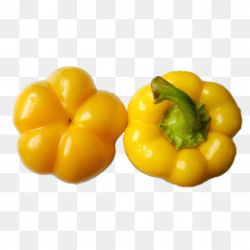 Sweet Pepper Png, Vectors, PSD, and Clipart for Free Download | Pngtree