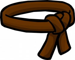 Brown Ninja Belt | Club Penguin Wiki | FANDOM powered by Wikia