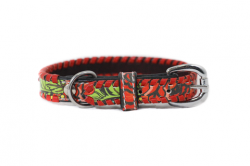 Dog Collars – Rodeo Quincy