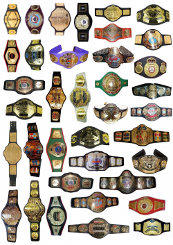 Pro-Wrestling Title Belts. #prowrestling Are you wanting belts? Who ...