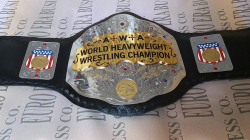 Ecw Championship Belt | New Wwe Championship Title Belts Wrestlezone ...