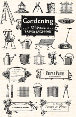25 Vintage French Garden Engravings ~ Illustrations ~ Creative Market