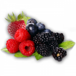 Berries PNG Clipart | PNG Mart
