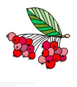 berries clip art royalty free
