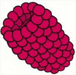 Free Berries Clipart - Free Clipart Graphics, Images and Photos ...