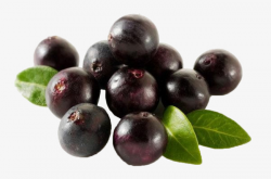 Acai Berries Png, Vectors, PSD, and Clipart for Free Download | Pngtree