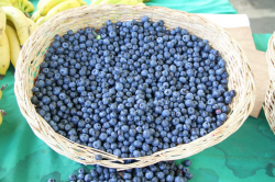 Acai Berry Health Benefits (powerful Amazonian antioxidant)