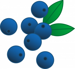 Blueberry Fruit Clipart