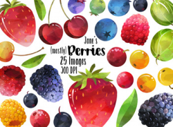 Watercolor Berries Clipart by Digitalartsi | Teachers Pay Teachers