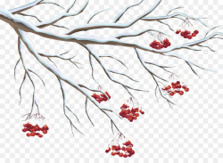 Common holly Berry Clip art - Berries Cliparts png download - 5000 ...