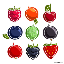 Vector Set colorful Berries icons: raspberry, rosehip, cherry ...