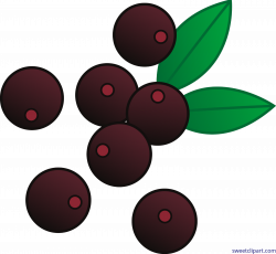 Berries Acai Clip Art - Sweet Clip Art