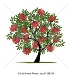 Rowan tree with berries for your design | Tattoos | Pinterest ...