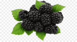 Juice Blackberry pie Organic food Fruit - Black Berries Cliparts png ...