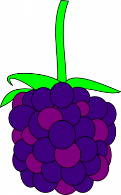 Blackberry Clip Art at Clker.com - vector clip art online, royalty ...
