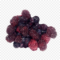 Boysenberry Loganberry Raspberry - berries png download - 900*900 ...