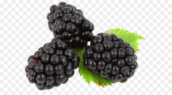 Boysenberry Frutti di bosco Clip art - Blackberry PNG png download ...