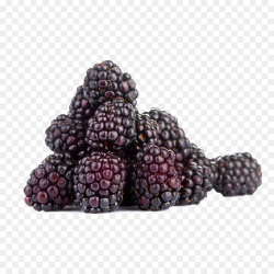 Boysenberry Red raspberry Blackberry - blueberries png download ...