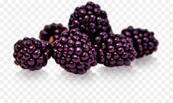 Juice Boysenberry Fruit Cream - berry png download - 776*540 - Free ...