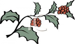 Cartoon of Christmas Holly and Red Berries on a Vine - Royalty Free ...